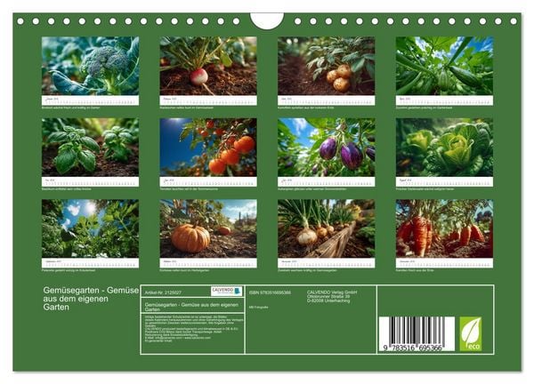 Produktbild: Gem&uuml;segarten - Gem&uuml;se aus dem eigenen Garten (Wandkalender 2026 DIN A4 quer), CALVENDO Monatskalender