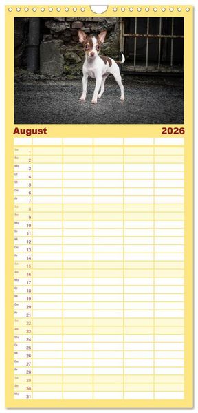 Produktbild: Familienplaner 2026 - Chihuahuas - Cool and Cute mit 5 Spalten (Wandkalender, 21 x 45 cm) CALVENDO