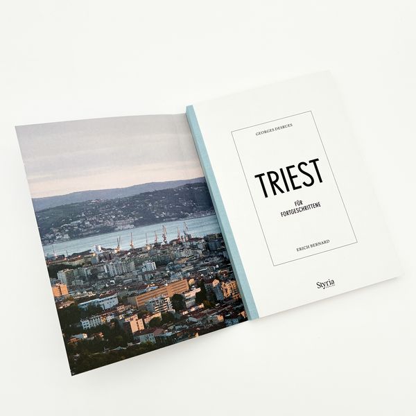 Produktbild: Triest f&uuml;r Fortgeschrittene
