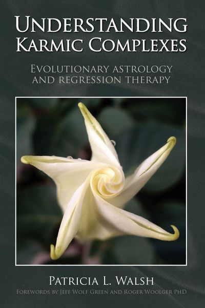 Produktbild: Understanding Karmic Complexes