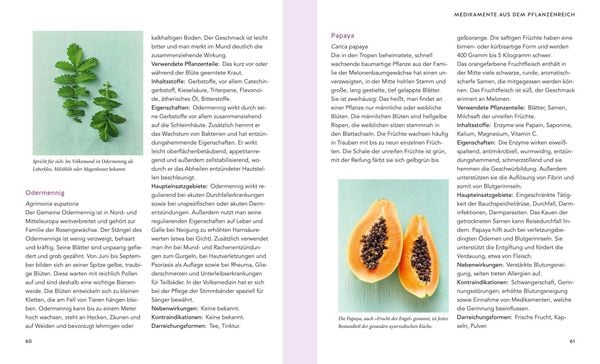Produktbild: Pflanzliche Antibiotika