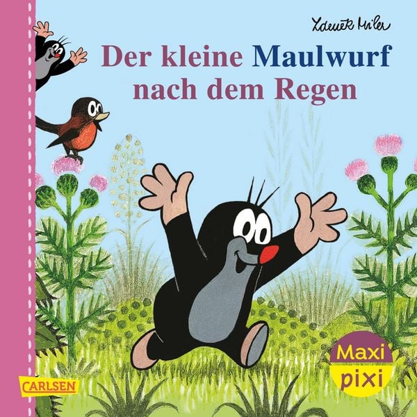 Produktbild: Maxi Pixi 200: Der Maulwurf nach dem Regen