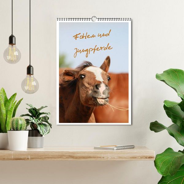 Produktbild: Fohlen und Jungpferde (Wandkalender 2026 DIN A3 hoch), CALVENDO Monatskalender