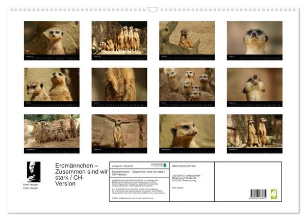 Produktbild: Erdm&auml;nnchen &ndash; Zusammen sind wir stark / CH-Version (Wandkalender 2026 DIN A2 quer), CALVENDO Monatskalender