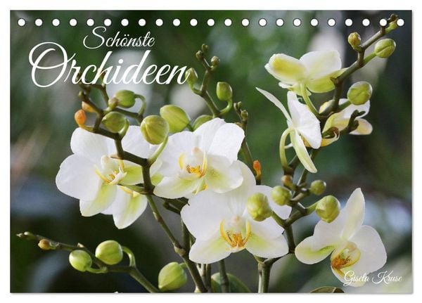 Schönste Orchideen (Tischkalender 2025 DIN A5 quer), CALVENDO Monatskalender