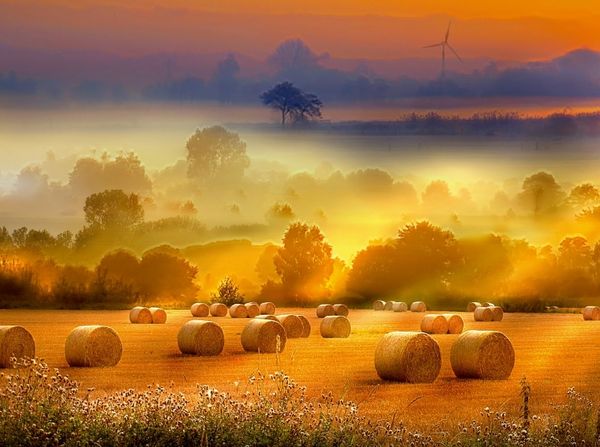 Produktbild: Strohballen auf dem Feld (Puzzle)