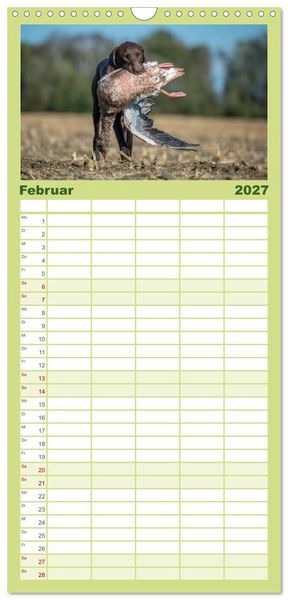 Produktbild: Familienplaner 2027 - Jagdhunde bei der Arbeit mit 5 Spalten (Wandkalender, 21 x 45 cm) CALVENDO