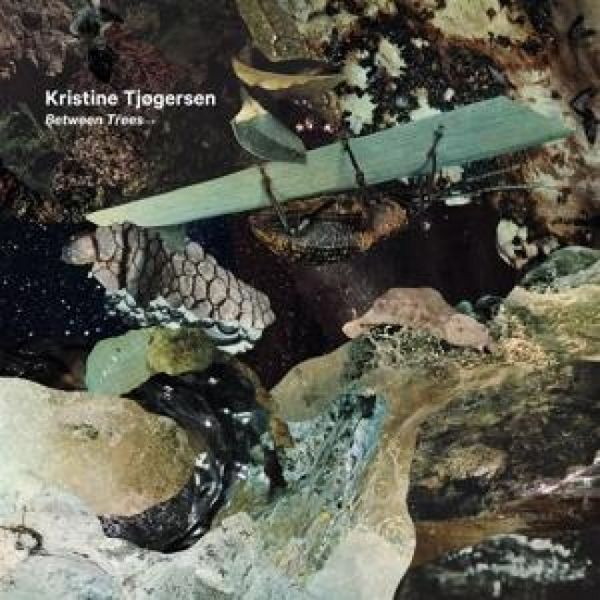Produktbild: Kristine Tjogersen: Between Trees