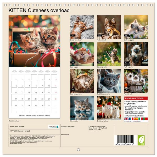 Produktbild: KITTEN Cuteness overload (Wall Calendar 2026 12 &times; 12 Inch) CALVENDO 12 Month Wall Calendar
