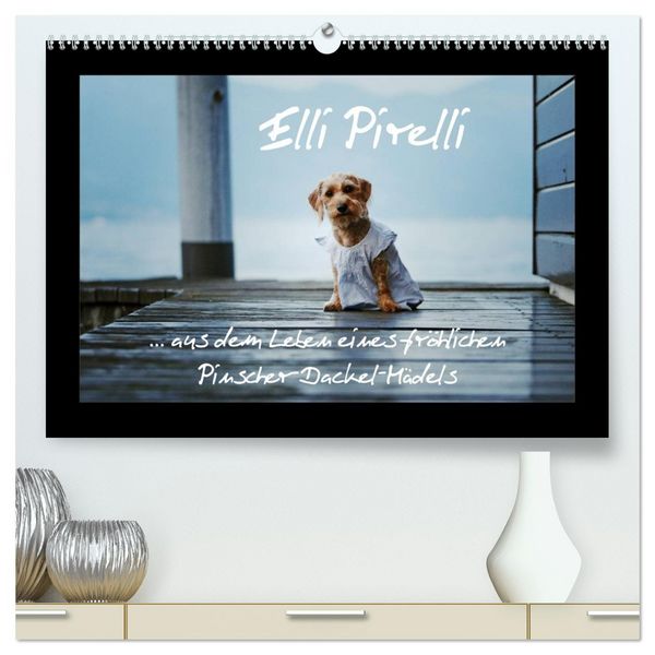 Produktbild: Elli Pirelli... aus dem Leben eines fr&ouml;hlichen Pinscher-Dackel-M&auml;dels (hochwertiger Premium Wandkalender 2026 DIN A2 quer), Kunstdruck in Hochglanz