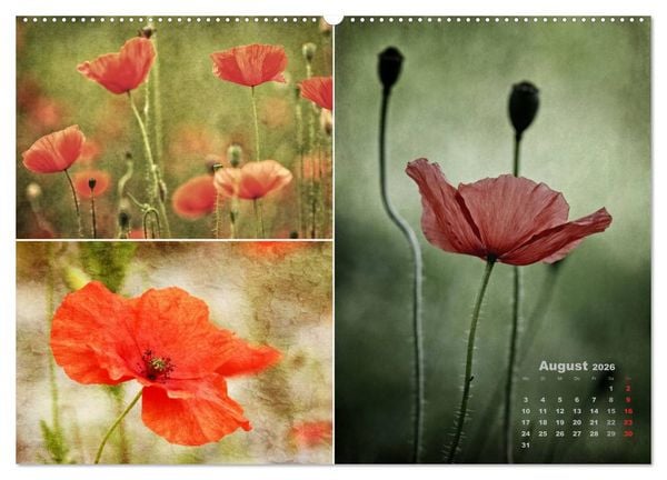 Produktbild: Blumenreise 2026 (hochwertiger Premium Wandkalender 2026 DIN A2 quer), Kunstdruck in Hochglanz