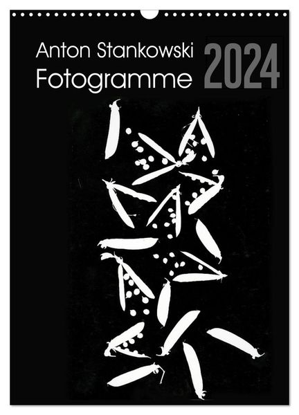 Anton Stankowski Fotogramme (Wandkalender 2024 DIN A3 hoch), CALVENDO Monatskalender