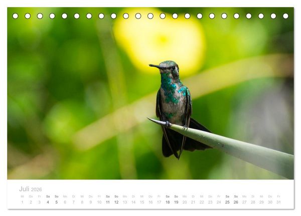 Produktbild: Trauminsel Cura&ccedil;ao (Tischkalender 2026 DIN A5 quer), CALVENDO Monatskalender