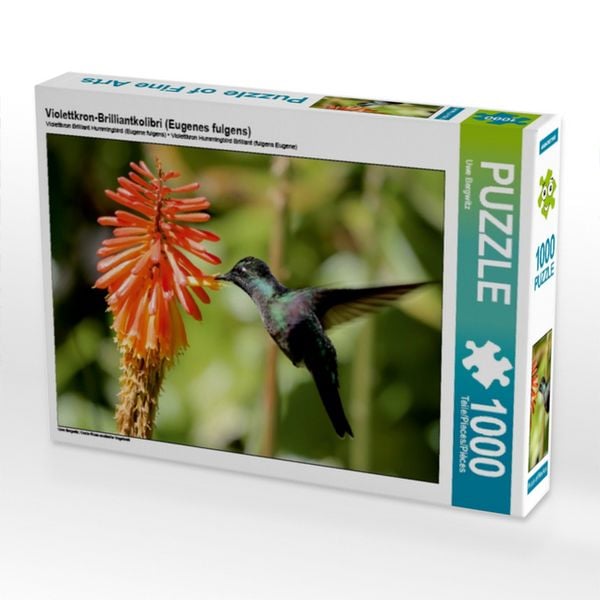 CALVENDO Puzzle Violettkron-Brilliantkolibri (Eugenes fulgens) | 1000 Teile Lege-Größe 64x48cm Foto-Puzzle für glückliche Stunden