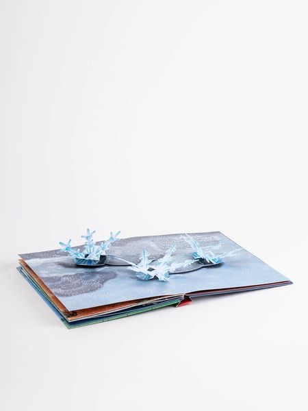 Produktbild: Das Wetter. Pop-up-Buch