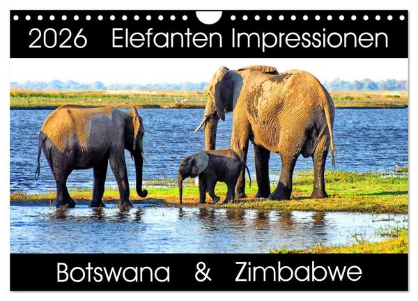 Produktbild: Elefanten Impressionen (Wandkalender 2026 DIN A4 quer), CALVENDO Monatskalender