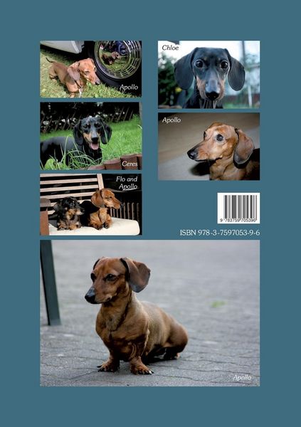 Produktbild: Apollo - a dachshund tells his story