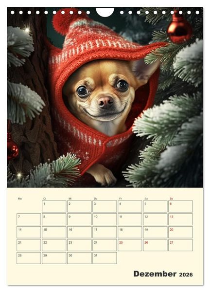 Produktbild: Witzige Chihuahuas. Gl&uuml;ckliche Temperamentb&uuml;ndel (Wandkalender 2026 DIN A4 hoch), CALVENDO Monatskalender