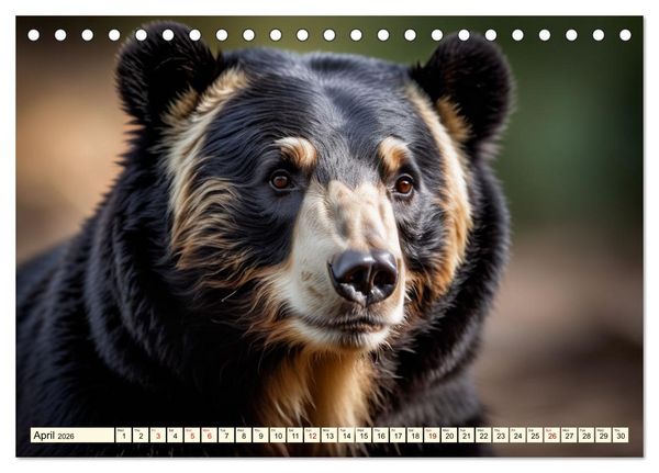 Produktbild: Small and large bears (Desk Calendar 2026 DIN A5 landscape), CALVENDO 12 Month DeskCalendar