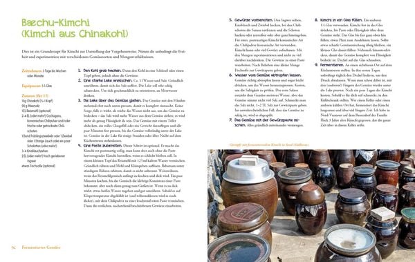 Produktbild: Die Fermentier-Bibel