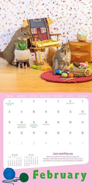 Produktbild: Secret Life of Squirrels Mini Wall Calendar 2026