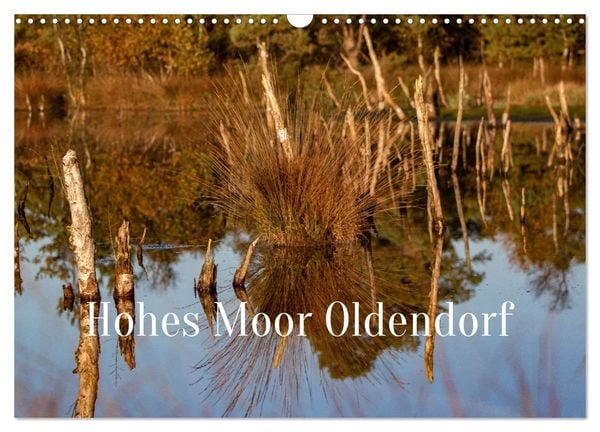 Hohes Moor Oldendorf (Wandkalender 2025 DIN A3 quer), CALVENDO Monatskalender