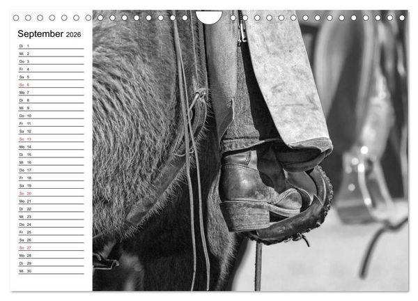 Produktbild: Leidenschaft Pferdesport - Impressionen (Wandkalender 2026 DIN A4 quer), CALVENDO Monatskalender