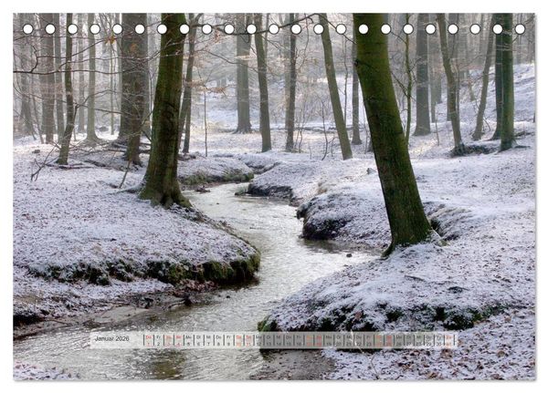 Produktbild: Wald im Bergischen Land 2026 (Tischkalender 2026 DIN A5 quer), CALVENDO Monatskalender