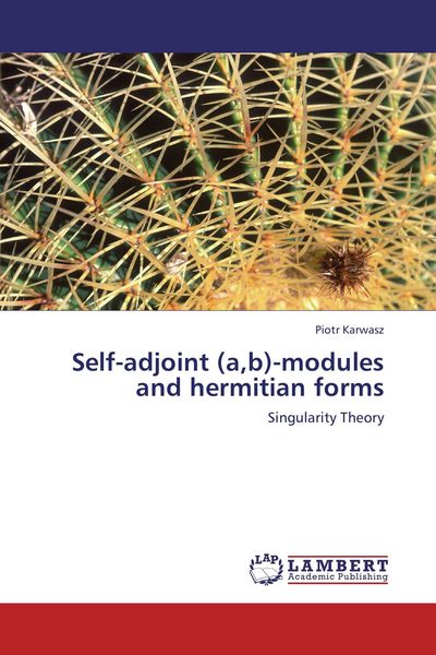 Produktbild: Self-adjoint (a,b)-modules and hermitian forms