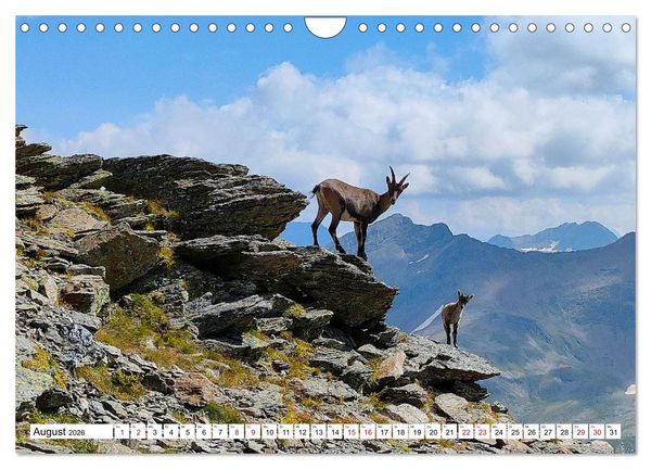 Produktbild: Majest&auml;tische Alpen (Wandkalender 2026 DIN A4 quer), CALVENDO Monatskalender