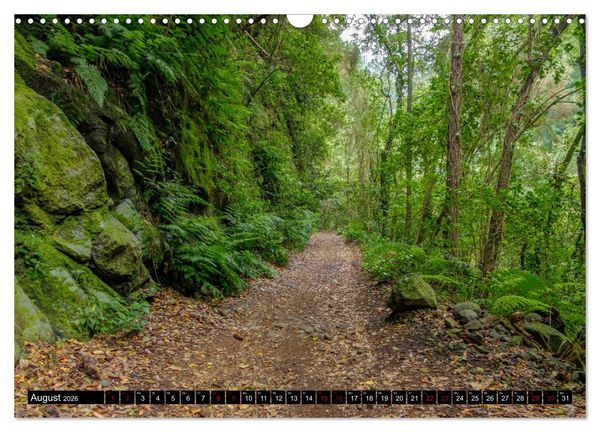 Produktbild: Natur pur erleben auf La Palma (Wandkalender 2026 DIN A3 quer), CALVENDO Monatskalender