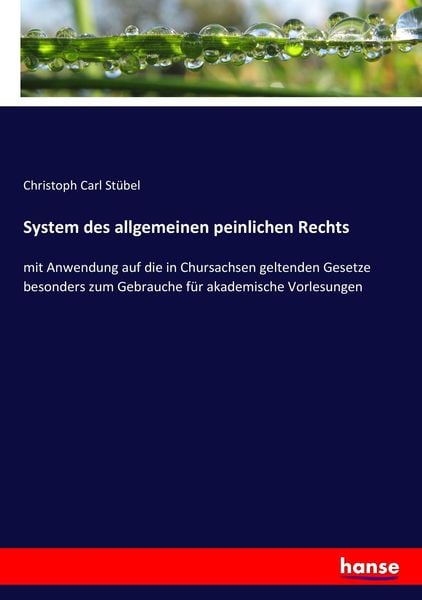 System des allgemeinen peinlichen Rechts