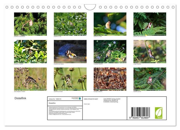 Produktbild: Distelfink (Wandkalender 2026 DIN A4 quer), CALVENDO Monatskalender