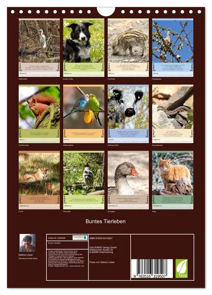 Produktbild: Buntes Tierleben (Wandkalender 2026 DIN A4 hoch), CALVENDO Monatskalender