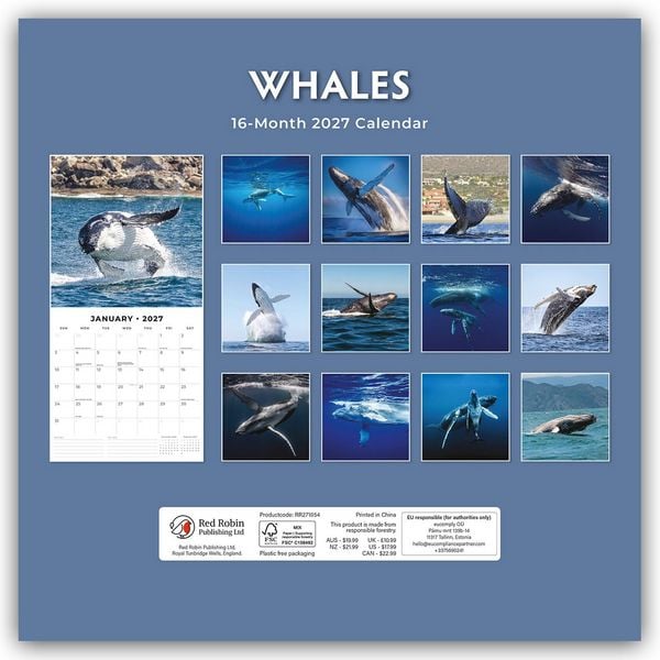 Produktbild: Whales &ndash; Wale 2027 &ndash; 16-Monatskalender