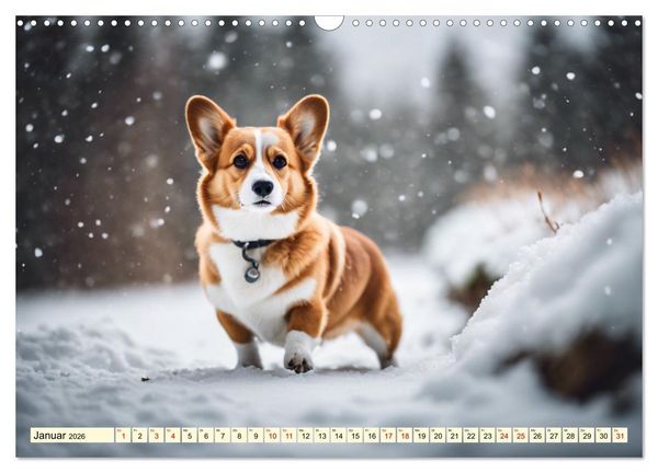 Produktbild: Welsh Corgi Pembroke (Wandkalender 2026 DIN A3 quer), CALVENDO Monatskalender