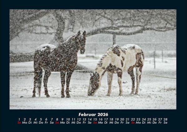 Produktbild: Die Welt der Pferde 2026 Fotokalender DIN A4