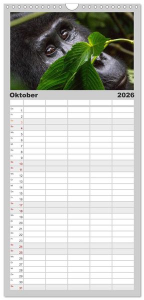 Produktbild: Familienplaner 2026 - Gorillas ohne Nebel mit 5 Spalten (Wandkalender, 21 x 45 cm) CALVENDO