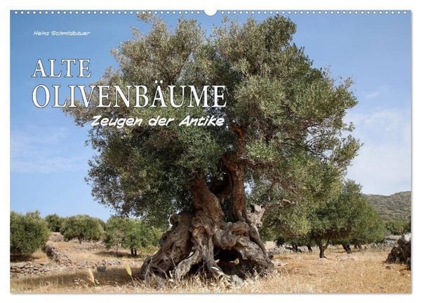 Produktbild: ALTE OLIVENB&Auml;UME Zeugen der Antike (Wandkalender 2027 DIN A2 quer), CALVENDO Monatskalender