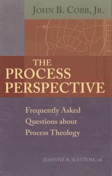 Produktbild: The Process Perspective