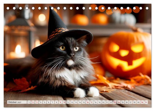 Produktbild: Katzen - Jeder Moment ein Abenteuer (Tischkalender 2027 DIN A5 quer), CALVENDO Monatskalender