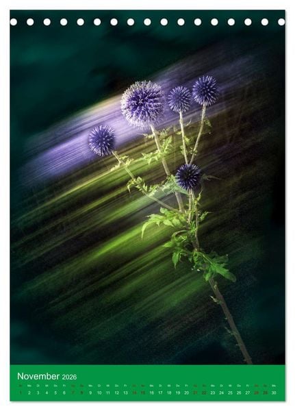 Produktbild: Floraler Tanz (Tischkalender 2026 DIN A5 hoch), CALVENDO Monatskalender