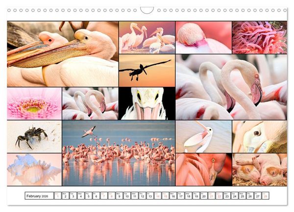 Produktbild: Colour Symphonies of the Earth (Wall Calendar 2026 DIN A3 landscape), CALVENDO 12 Month Wall Calendar