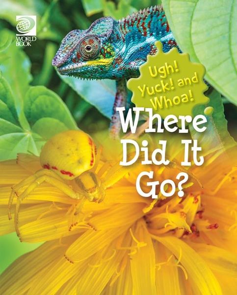 Produktbild: Where Did It Go?