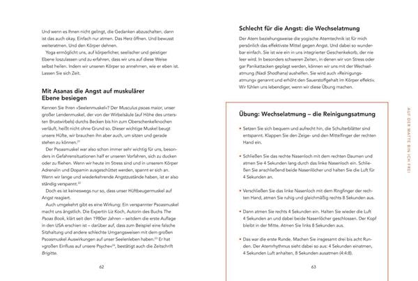Produktbild: Diese verdammten &Auml;ngste (mit DVD)