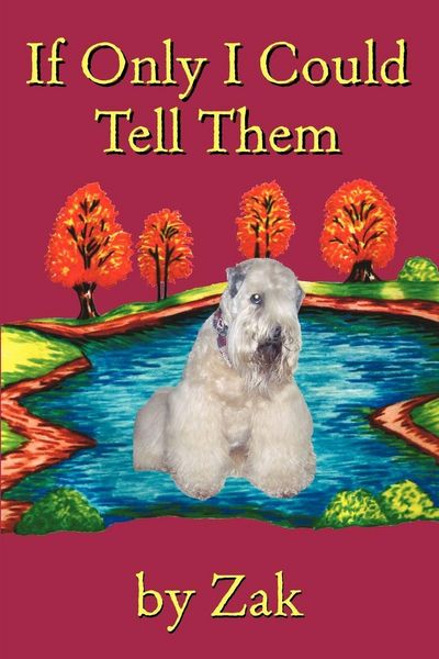 Produktbild: If Only I Could Tell Them