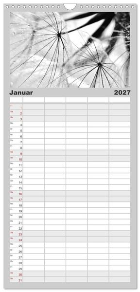 Produktbild: Familienplaner 2027 - Pusteblume - Impressionen in schwarzwei&szlig; mit 5 Spalten (Wandkalender, 21 x 45 cm) CALVENDO