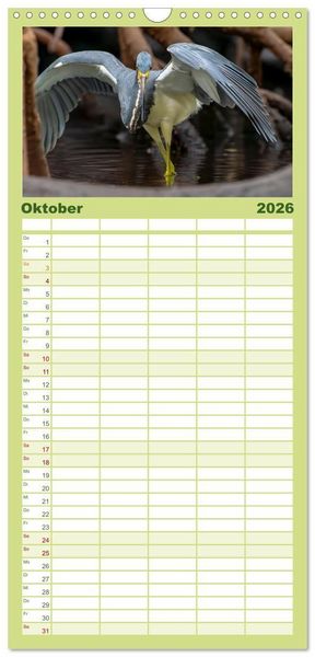 Produktbild: Familienplaner 2026 - Blaureiher und Dreifarbenreiher mit 5 Spalten (Wandkalender, 21 x 45 cm) CALVENDO