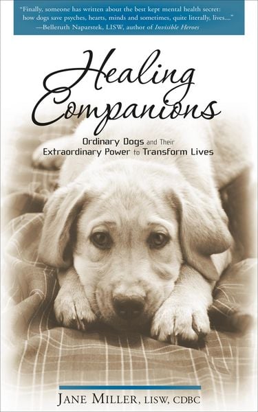Produktbild: Healing Companions