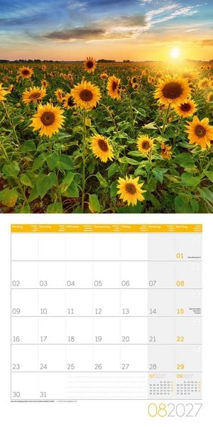 Produktbild: Magie des Lichts Kalender 2027 - 30x30 - Art12